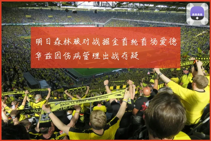 明日森林狼对战掘金首轮首场爱德华兹因伤病管理出战存疑